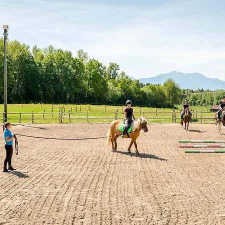 Moierhof - Der Ferienbauernhof Am Chiemsee