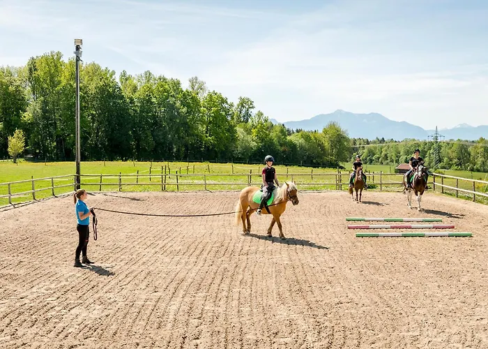 Moierhof - Der Ferienbauernhof Am Chiemsee